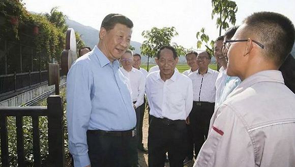 点击打开原图