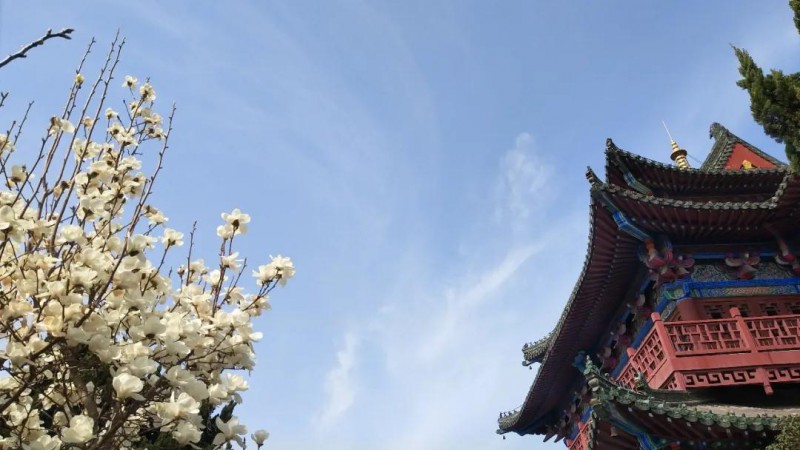 微信圖片3