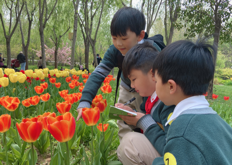 微信截圖_20210414113719