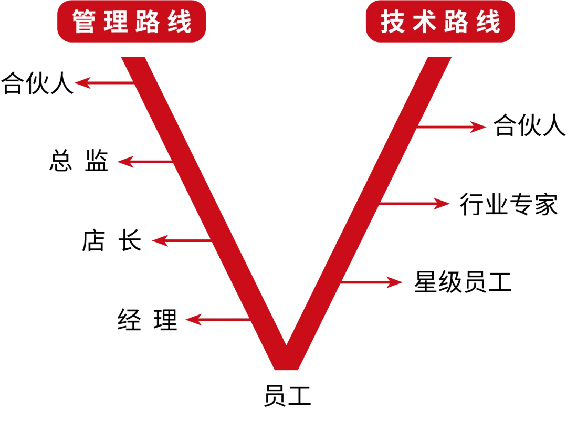 中和豫宴·新豫菜”即將亮相北龍湖,誠聘有夢想的你1121
