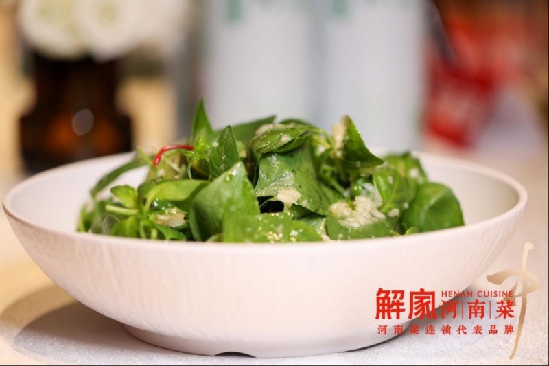 解家河南菜 × 金星啤酒聯名開新品發布會1098