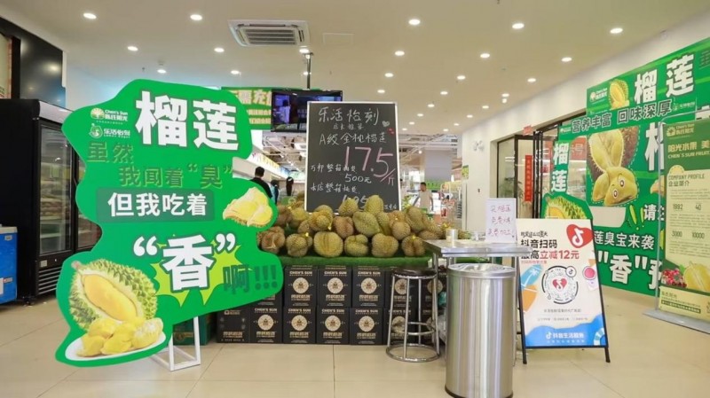 圖片 5