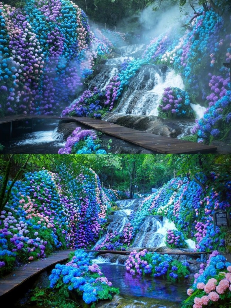 圖片 1